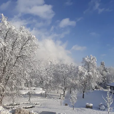 Szálloda Jagdhof 2*