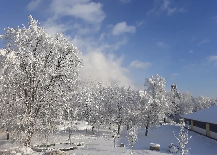 Ξενοδοχείο Jagdhof 2*