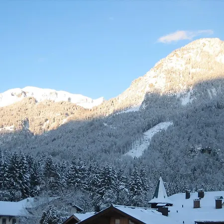 酒店 加戈霍夫酒店 2*