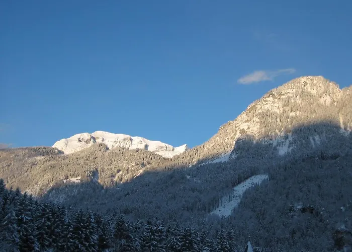 Jagdhof Отель Крамзах